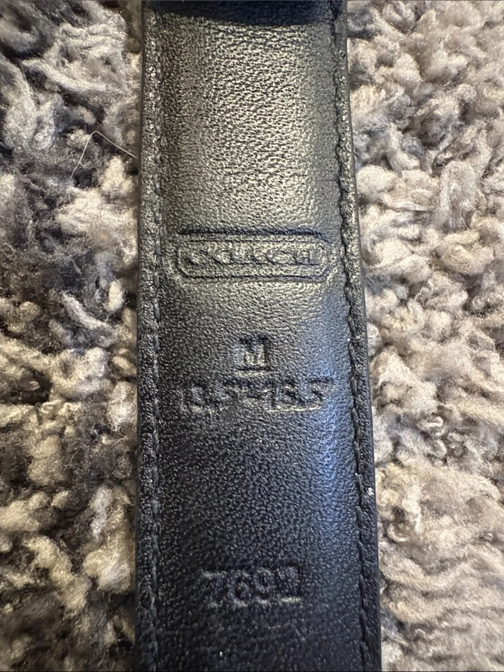 Coach dog collar